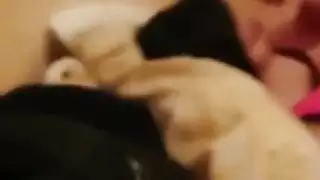 نيك مصريه تعيط وتحكي كلام سكسي