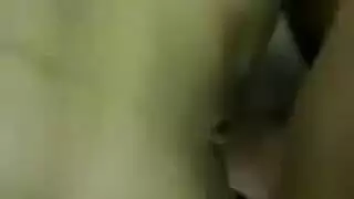 في سن المراهقة مثلي الجنس أسد امريكي ربط الحذاء