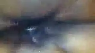 مسعر انت