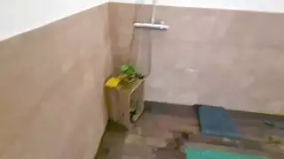 تايوانية بيرو جينز