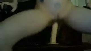 فلاسكسي مصر
