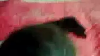 تتناك من جارها ساعه نيك