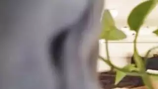 ام تعالج ابن زوجها من خصيتيه٩