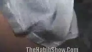 أنيني بلغتك