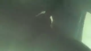 سكس مفتوح بدون تحميل