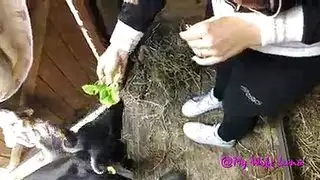 باسكال مشعلاني