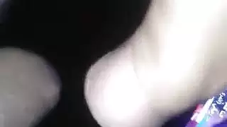 الحمار العربي فوكين