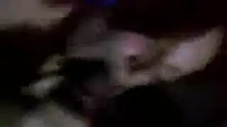 سكس سوداني لندي القلعه من اكس ان اكس اكس