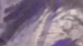 بيت لاتينا يذهب البرية: الديك الملمس واللعب الحمار
