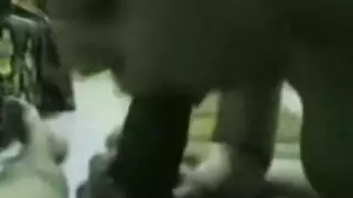 سكس مصري جديد 2019 ترضع السيجارة والزب نيك بكل الاوضاع