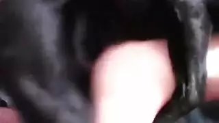 قم بتنزيل Nick Dog Dog Hot Xnxx