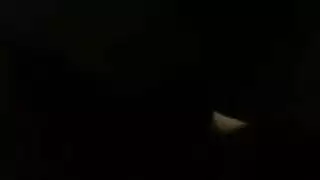 العازبون من خشب الأبنوس على أهبة الاستعداد ويظهرون الوقت