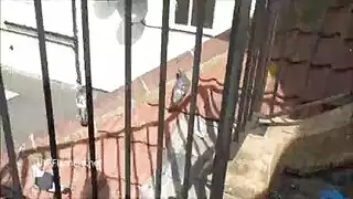 إغاظة في الهواء الطلق في الطبيعة.