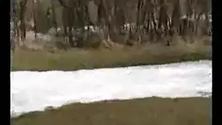 سکس زلیتن