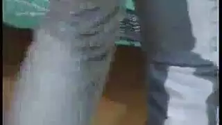 الفتيات العاريات ترغب في جعل الحب في العراء، منتصف اليوم