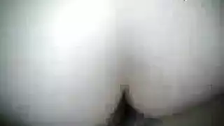حصان ينيك بنت شيمل