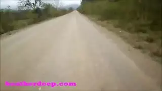 تزاوج الخيول سكس