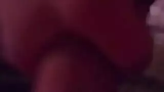 أخوات الشمال اللعين هنا