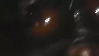 موخره