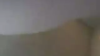 نيككلبي في أتوبيس