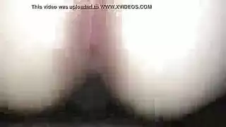 الأبيض وقحة القيام الديك الأبيض