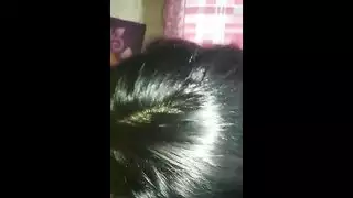سكس مصري خلفي نيك اللبوة و تمص بقوة