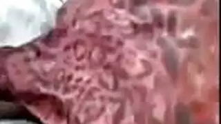السعودية 3 أنبوب الإباحية الحرة