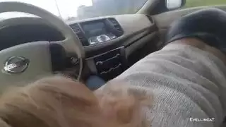 المرأة تمتص الديك بأمر منك
