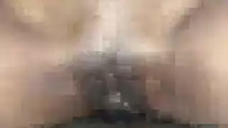 الأبنوس الباندا في بوريتو: ملكة جمال جيب المغامرة