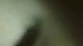 الحمار الفاسقة الكبيرة تظاهر لمصورها وتضايقه بوقا مبلل
