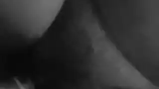 اسيوي مترجم