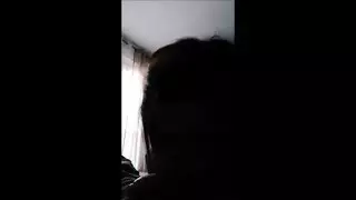 لم يسبق لك أن رأيت مثل هذا الديك اليائس في حياتك