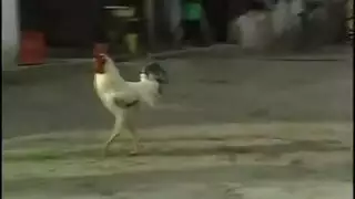 هواء مفتوح الساخن يستمني مع سترابونز ولعب الأطفال