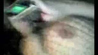 سكس حيوان 