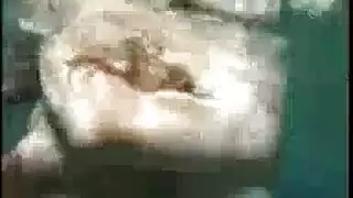 أقال روكو ويمارس الجنس معها الثدي الصغيرة.