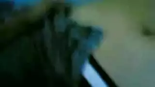 بنت تضرب السبعه ونص بنت بموت