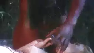 Xnxx هو حاج كبير