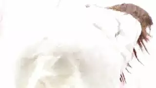 ثمينة إغاظة بها مع طفلها