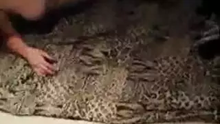 متجرد في سن المراهقة الذهاب منفردا في جوارب