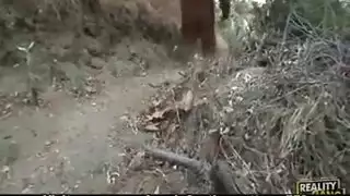 غوريلا بلاتينيوم مع قناع غوريلا