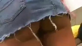صوركس حماره كبير