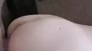 بورنو الحواية في الزك