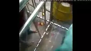 صديقات كلية تتمتع كس العربدة.