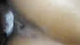 صورسكس كارتيكا