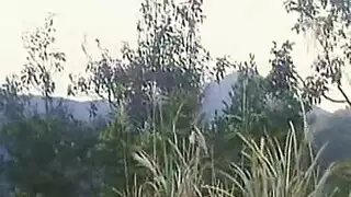 كس.مشعر.سوداني