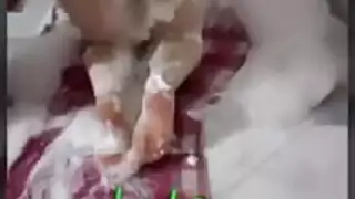 مصرية فاجرة بتقوله متحطش صابون علي زيك هيحرق كسي