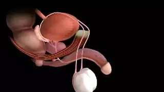 سكس مصري جديد اخ في المنزل لوحدهم