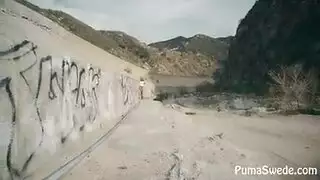 صورالكس الجذائري