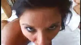 حصان اسود ينيك ثمينه فيكسها