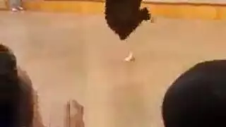 رقص شراميط مصريات علني في حديقة عامة